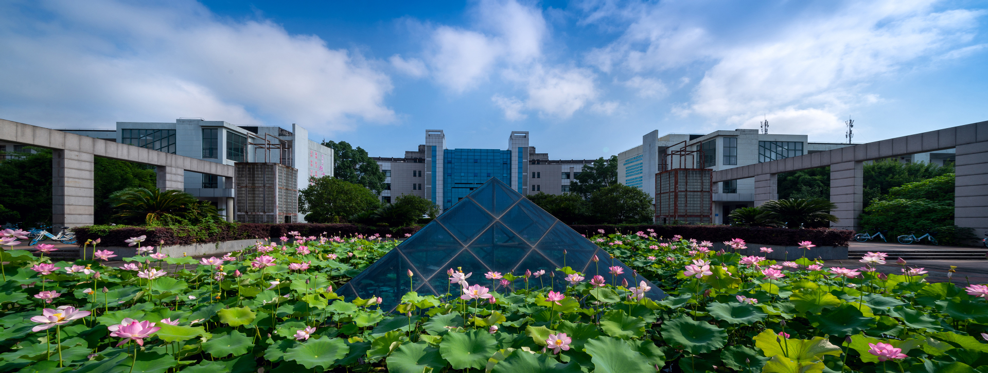 浙江丽水学院怎么样图片